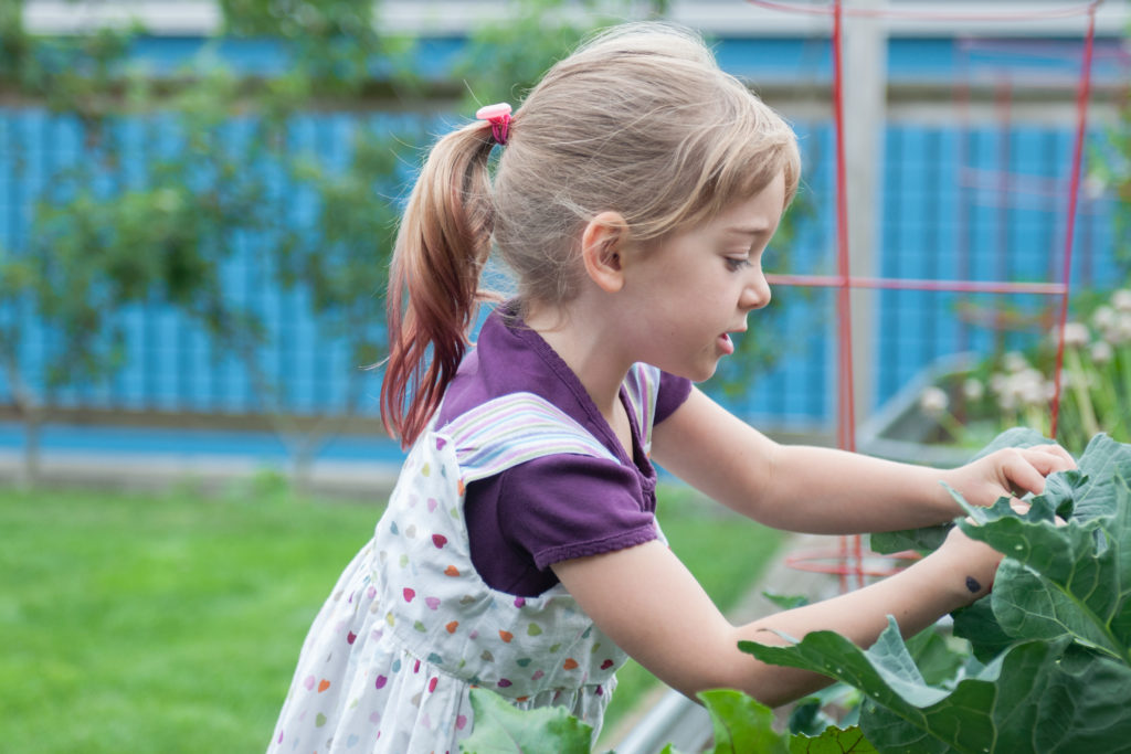 Little girl giving a tour of her organic garden during a backyard family session