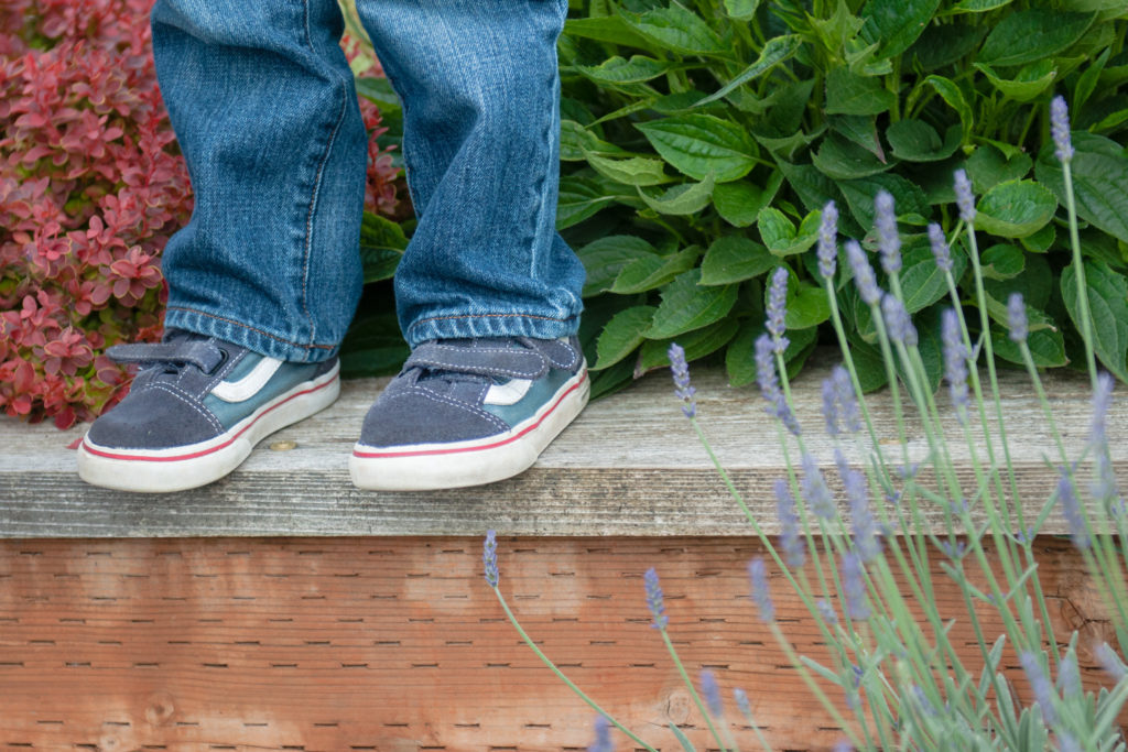 Close up of little shoes and plants