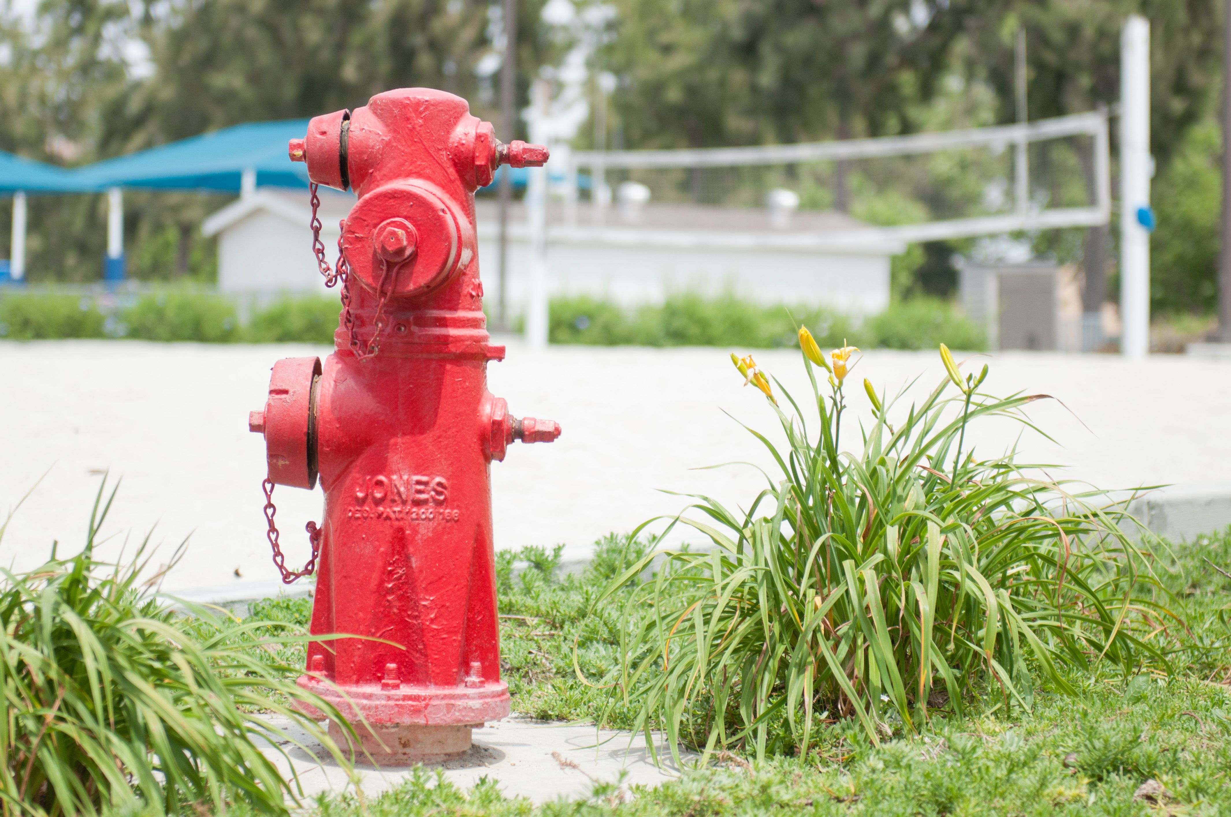 Red fire hydrant in front of a sand volleyball court