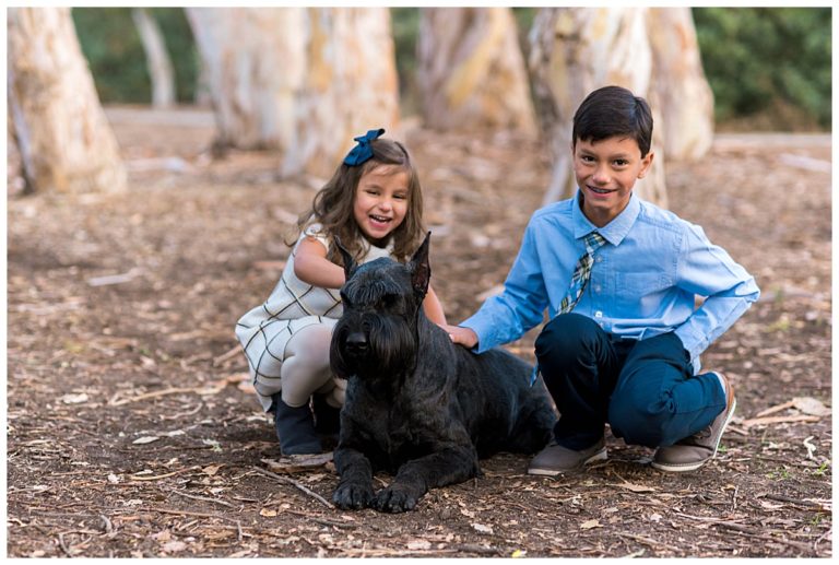 siblings petting their dog at the park